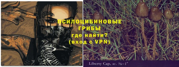 марки lsd Балахна